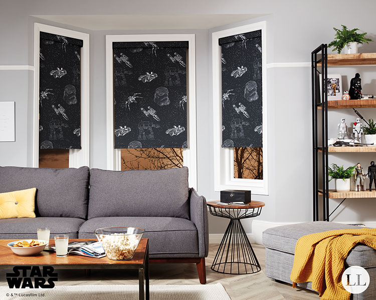 disney blinds